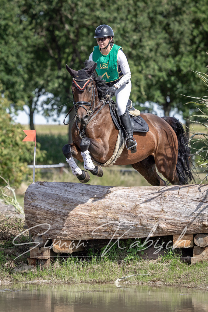 20250907-_3LI0773 | Tierfotografie Pferde, Hunde, Katzen, Haustiere.
Turnierfotografie Reitturniere, Reiten, Springreiten, Dressur in Hanau, dem Main-Kinzig-Kreis und dem Rhein-Main- Gebiet um Frankfurt