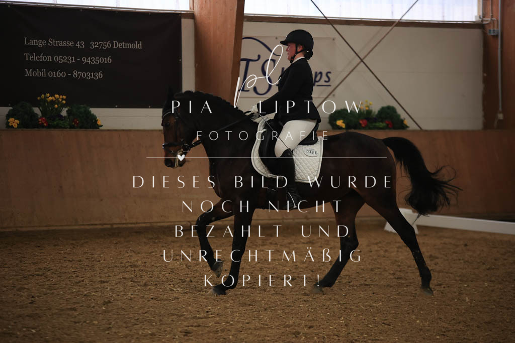 IMGT9178 | pl-fotografie