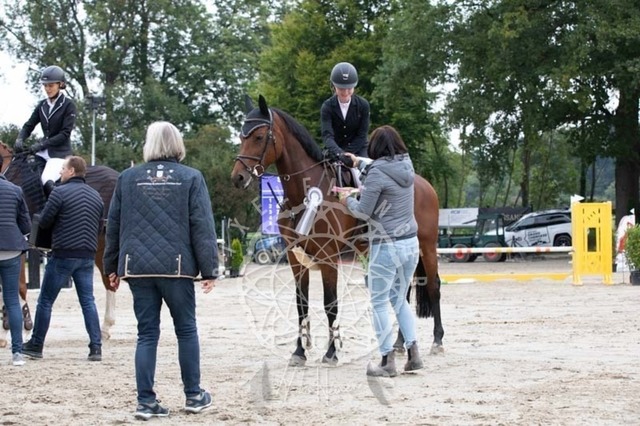 2B4A2360 | pixelfaenger - Realisiert mit Pictrs.com