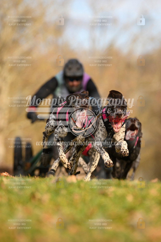 MompixPhotography_10Schwabentrail2026_SO_Kart-5 | PayLife