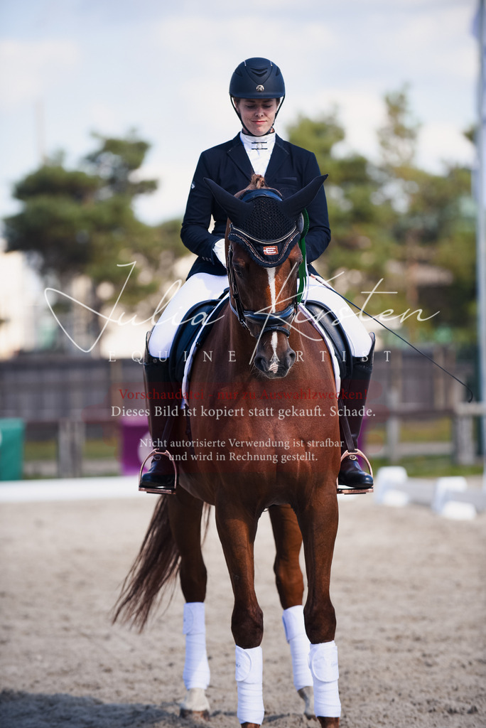 DSC_9742 | Pferde- und Turnierfotografie in Westsachsen. Pferdeportraits, Auftragszeichnungen und intuitive Kunst.
