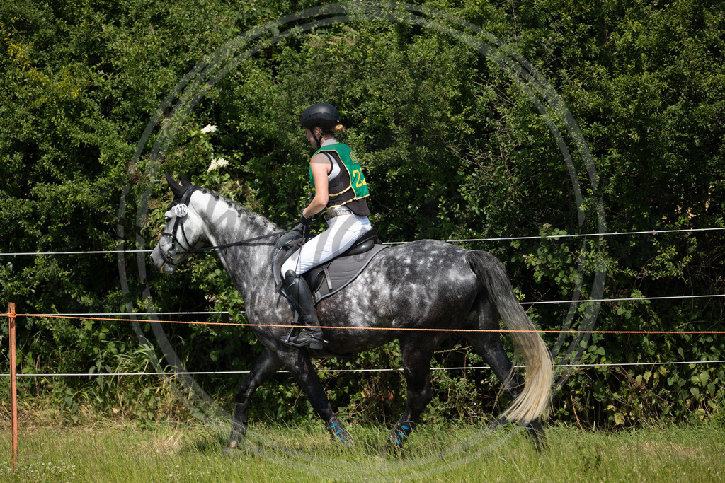 994A1010 | sabrinanicolaifotografie - Realisiert mit Pictrs.com