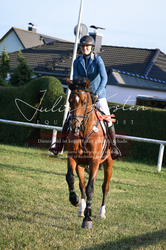 DSC_1943 | Pferde- und Turnierfotografie in Westsachsen. Pferdeportraits, Auftragszeichnungen und intuitive Kunst.