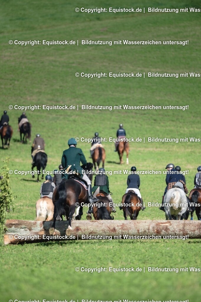 20251011_Jagd-Marbach_0269 | Foto: Thomas Hartig