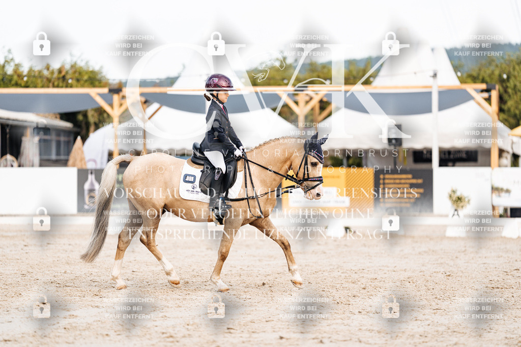 CK904664 | Turnierfotografie Pferdefotografie Trier Rheinland-Pfalz Pferdesport Reitsport Tierfotografie Sportfotografie Pferdevideo Pferdevideografie Equestrianvideography equestrianphotography  - Realisiert mit Pictrs.com