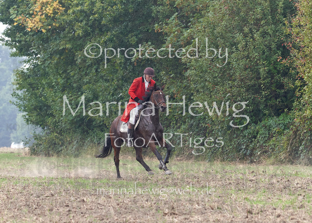 09-23 Jagd Perdöl_MCH9716_Marina Hewig | Fotografie, FotoArt, PferdesportArt, Pferdesportfotografie, Landschaftsfotografie, Reisefotografie, Reise, Pferde - Realisiert mit Pictrs.com