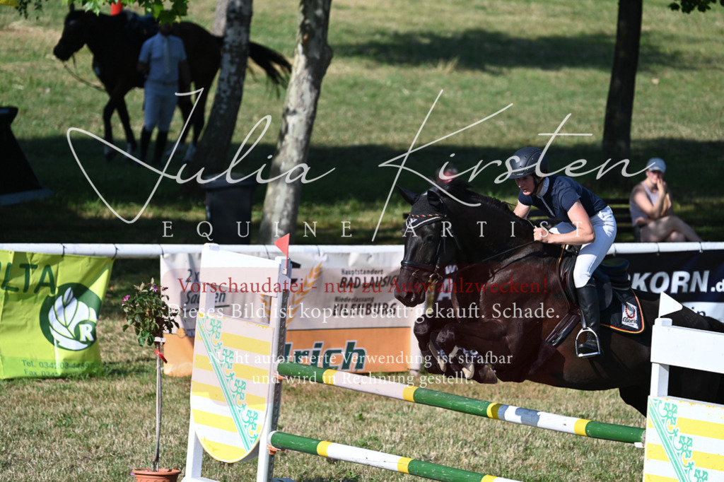 DSC_2556 | Pferde- und Turnierfotografie in Westsachsen. Pferdeportraits, Auftragszeichnungen und intuitive Kunst.