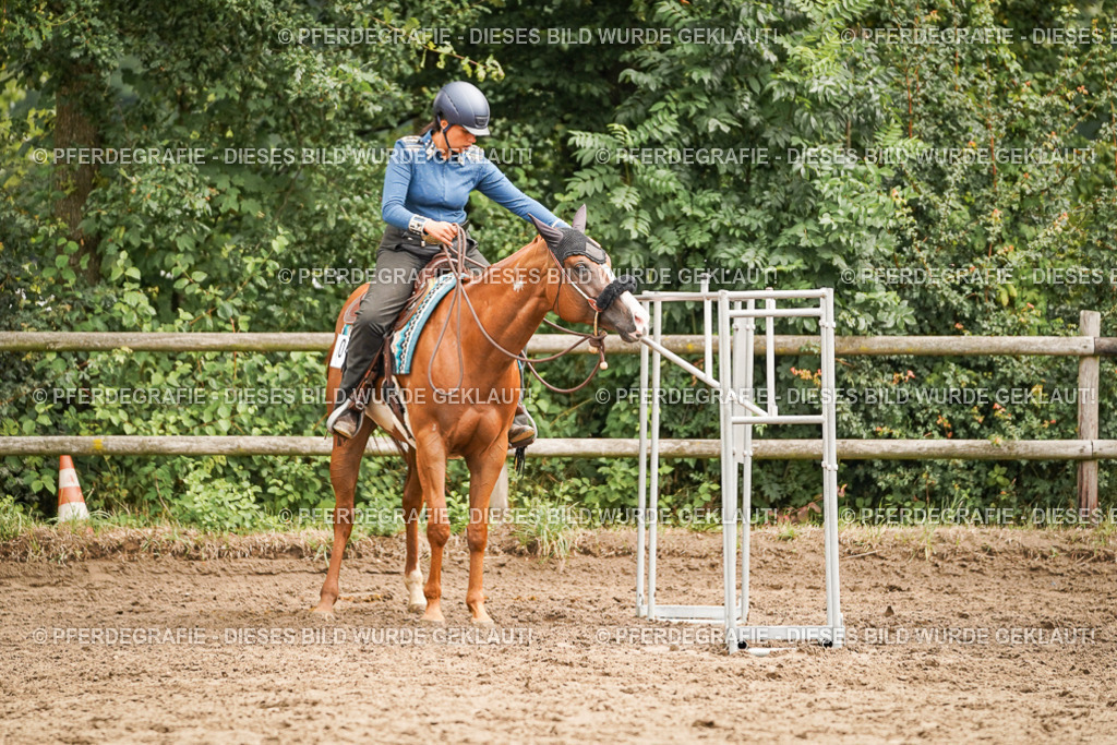 DSC04381 | Pferdegrafie