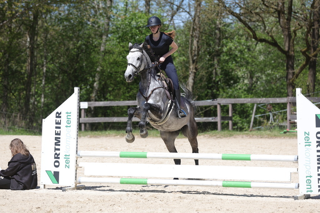 0P6A8866 | Willkommen bei Brunnmayr - Design & Fotografie – Ihrem Spezialisten für Reitturniere und Pferdeveranstaltungen in Oberösterreich, Salzburg und Bayern! Seit über 17 Jahren sind wir leidenschaftlich dabei.