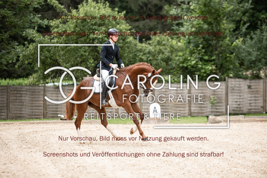 DSC_3067 | Turnierfotografin Carolin Gieschke,Reitsport Turnierfotografie Carolin G Fotografie | Turnierfotos aus Kirchheim/Teck, Esslingen, Stuttgart und dem Bodenseekreis