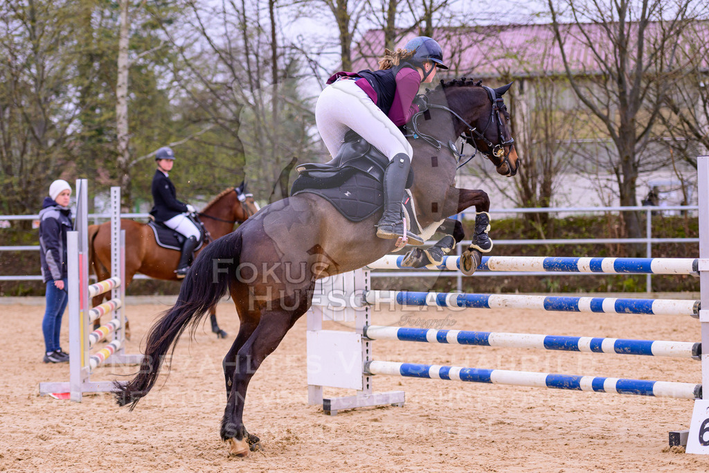 12042026-Mammendorf-Prfg43-0099 | Fokus Hufschlag Fotografie - Realisiert mit Pictrs.com