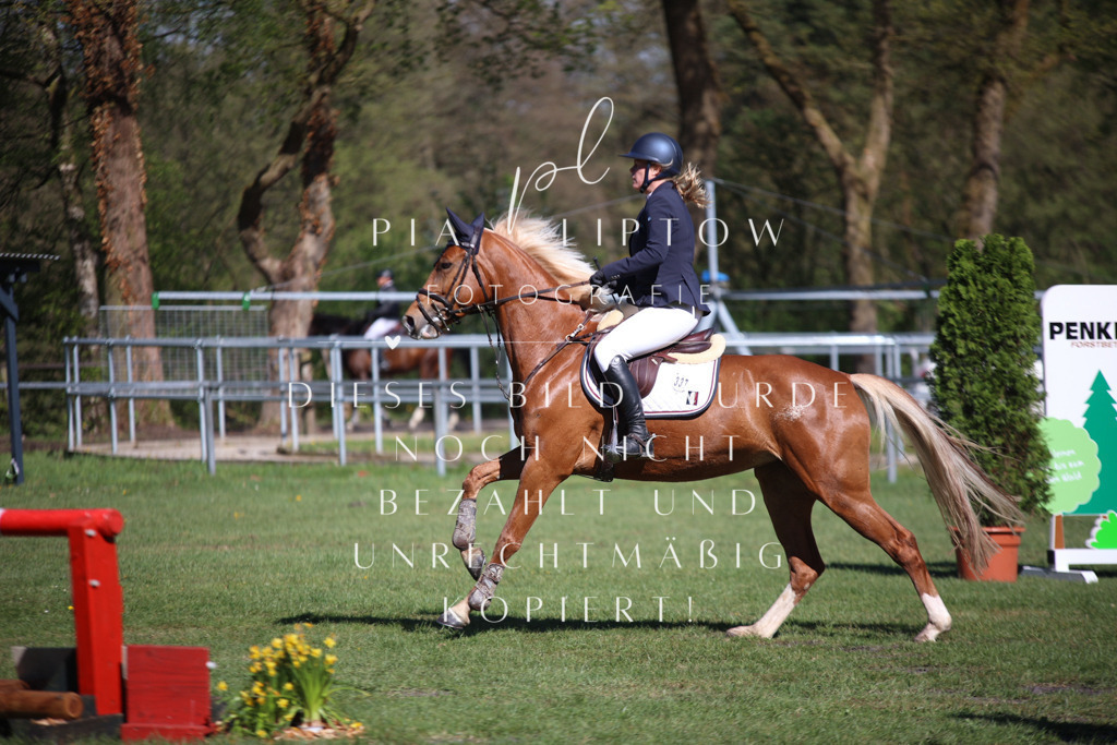 IMGT0523 | pl-fotografie