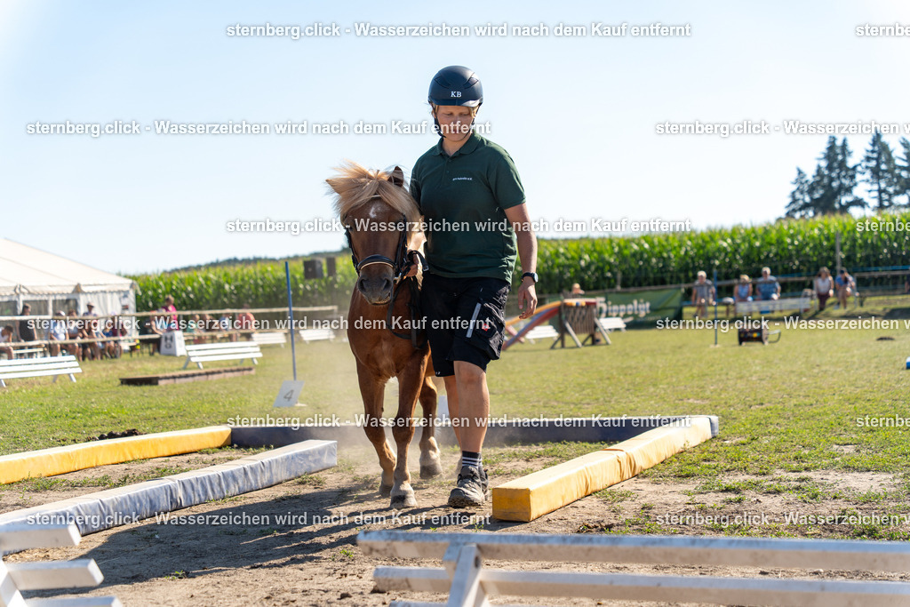 2026-08-08_15-47-56_WBO_Pulsnitz | sternberg.click - Realisiert mit Pictrs.com