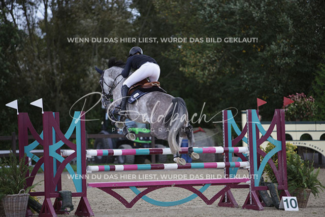 1J2A5157Pheline Ahlmann_ Mirella 26_ Kn735_ Havekost | Foto- und Videografie für alles rund ums Pferd. Hochwertige Bilder und Videos vom Spring- und Dressurreiten, Voltigieren & mehr. Jetzt aktuelle Veranstaltungen und Preise im Shop ansehen. - Realisiert mit Pictrs.com