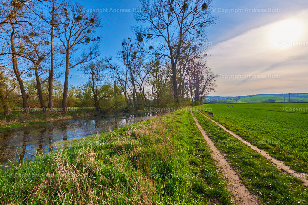 Am Altarm der Weißen Elster zwischen Bad Köstritz und Caaschwitz 06 | Bedeutsame Landschaften Deutschlands - Realisiert mit Pictrs.com