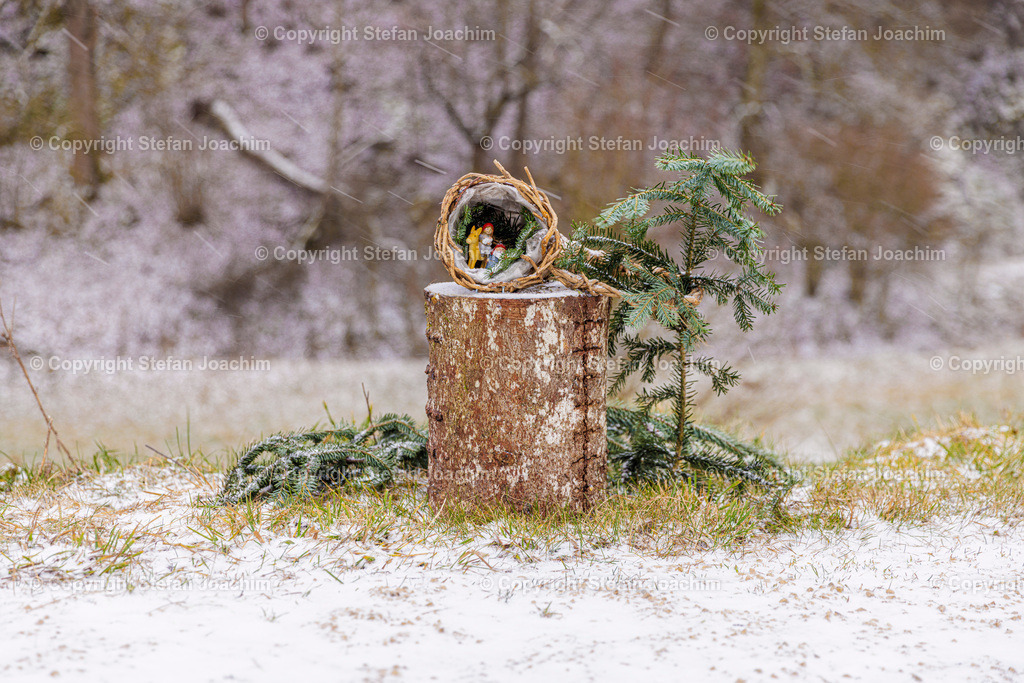 Titel | Fotografien von Stefan Joachim aus vielen Bereichen. Landschaft, Streetart, Natur, Allgäu, Berge. - Realisiert mit Pictrs.com