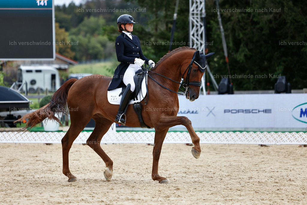 11-141-Dressur S___-Marixx-1855 | working equitationturnier fotograf videograf stoibphotography marixx film working equitation deutschland reitsport turnierfotografie eventfotografie equestrian events