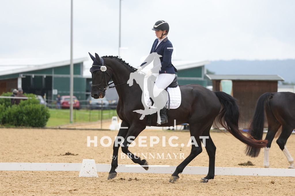 0P6A9961 | Willkommen bei Brunnmayr - Design & Fotografie – Ihrem Spezialisten für Reitturniere und Pferdeveranstaltungen in Oberösterreich, Salzburg und Bayern! Seit über 17 Jahren sind wir leidenschaftlich dabei.