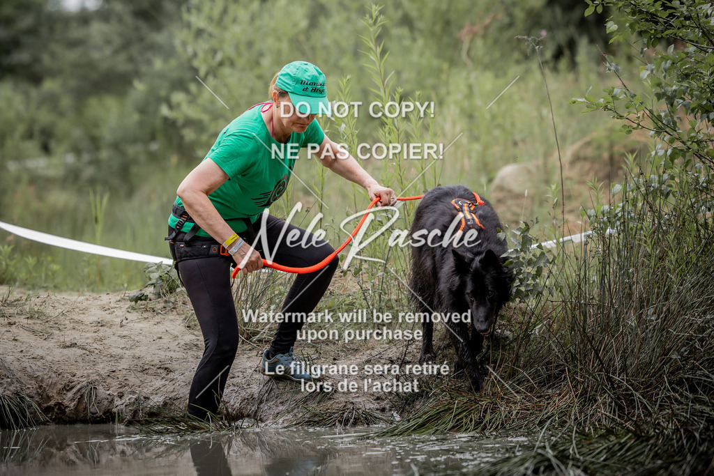 nelerasche_so0800-0930_354 | nelerasche