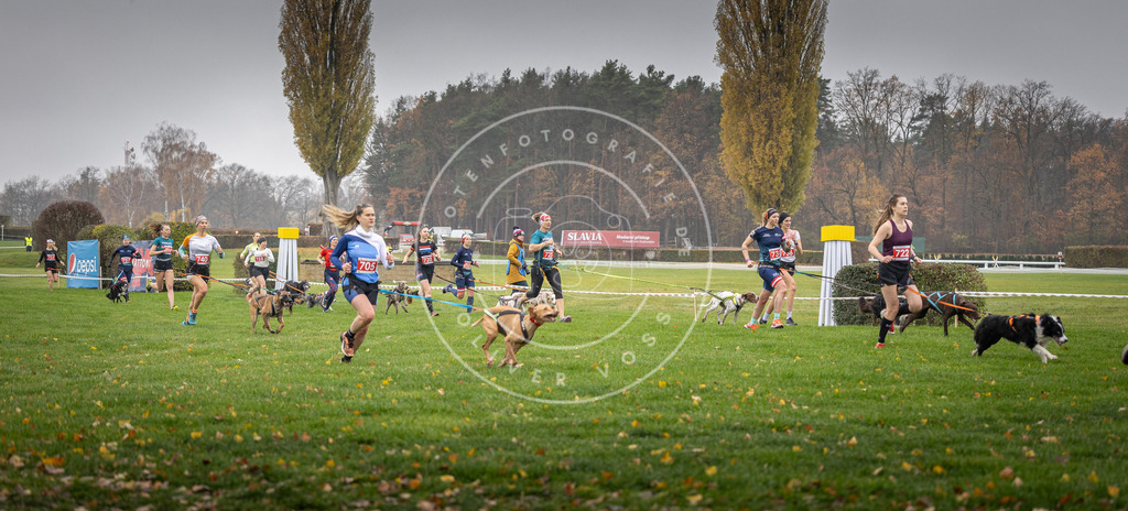 CaniXpix_DV3A8834 | Hundefotografie, Tierfotograf, Pfotenfotografie, Fotoshooting Hund, Hunde Portrait, Hundesport, Hundeportraits, Heideshooting, Hunde, Sportfotograf, Hundefotograf, Turnierhundsport, THS,  - Realisiert mit Pictrs.com
