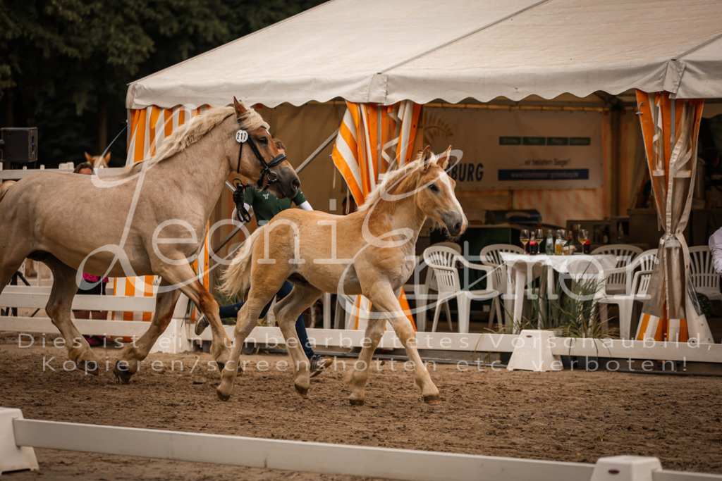 SaHF00061 | Leoni Ertmer Photography - Realisiert mit Pictrs.com