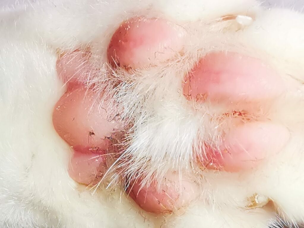 PSX_20221027_214718 | mtkfoto_ - Realisiert mit Pictrs.com