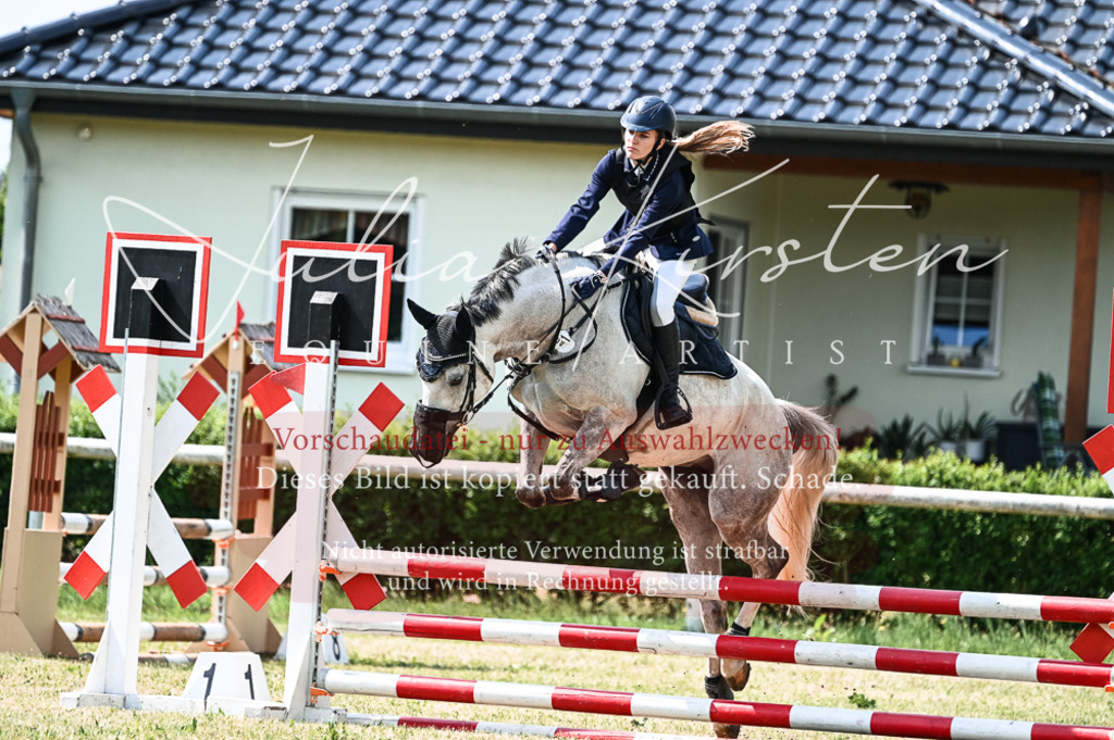 DSC_8803 | Pferde- und Turnierfotografie in Westsachsen. Pferdeportraits, Auftragszeichnungen und intuitive Kunst.