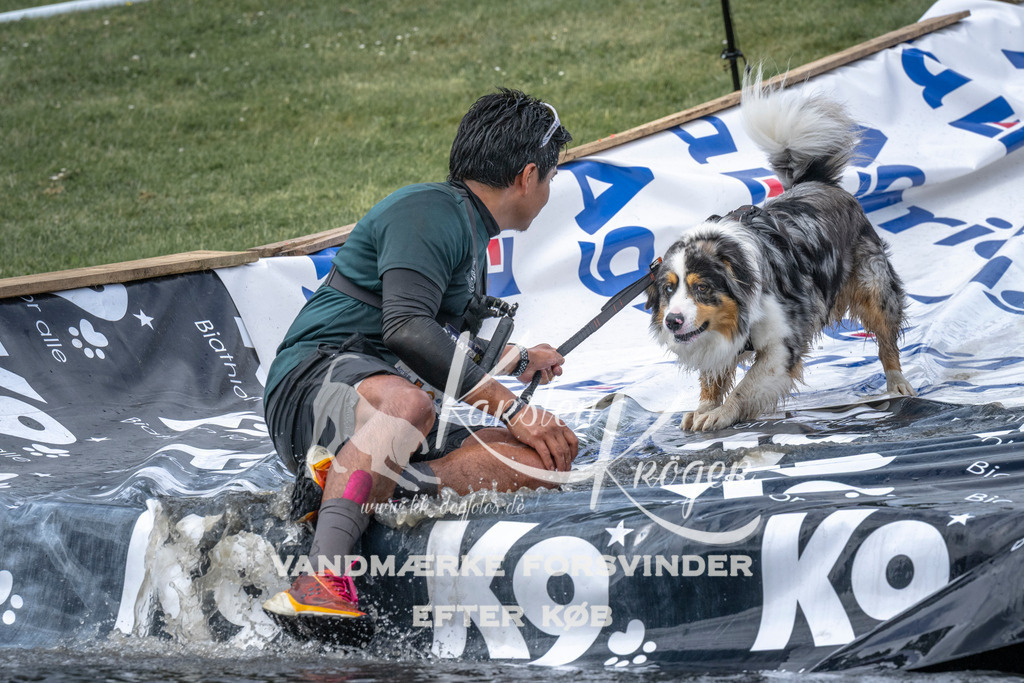 1131_ZZ92775 | kk-dogfotos