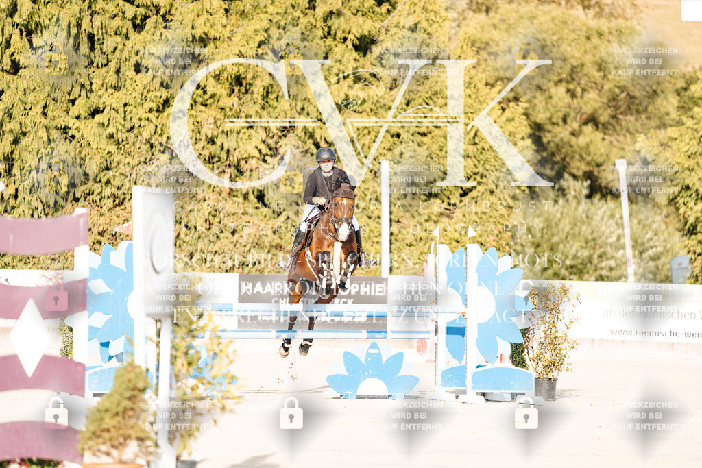 CK900583 | Turnierfotografie Pferdefotografie Trier Rheinland-Pfalz Pferdesport Reitsport Tierfotografie Sportfotografie Pferdevideo Pferdevideografie Equestrianvideography equestrianphotography  - Realisiert mit Pictrs.com