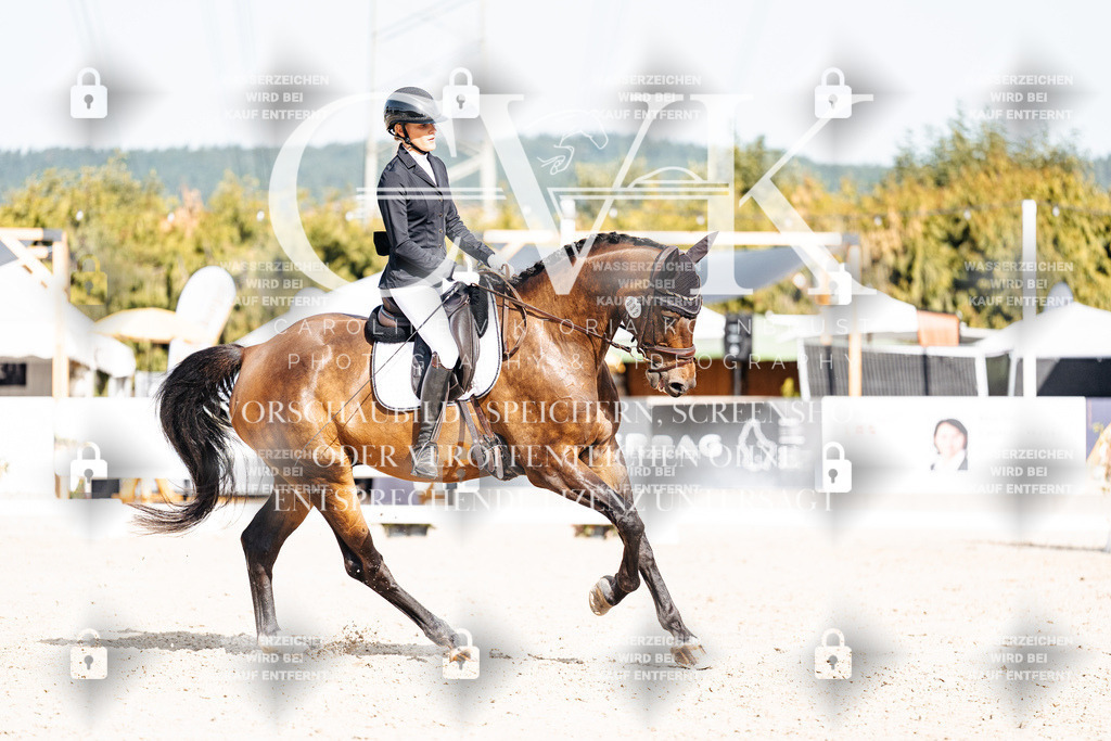 CK905496 | Turnierfotografie Pferdefotografie Trier Rheinland-Pfalz Pferdesport Reitsport Tierfotografie Sportfotografie Pferdevideo Pferdevideografie Equestrianvideography equestrianphotography  - Realisiert mit Pictrs.com