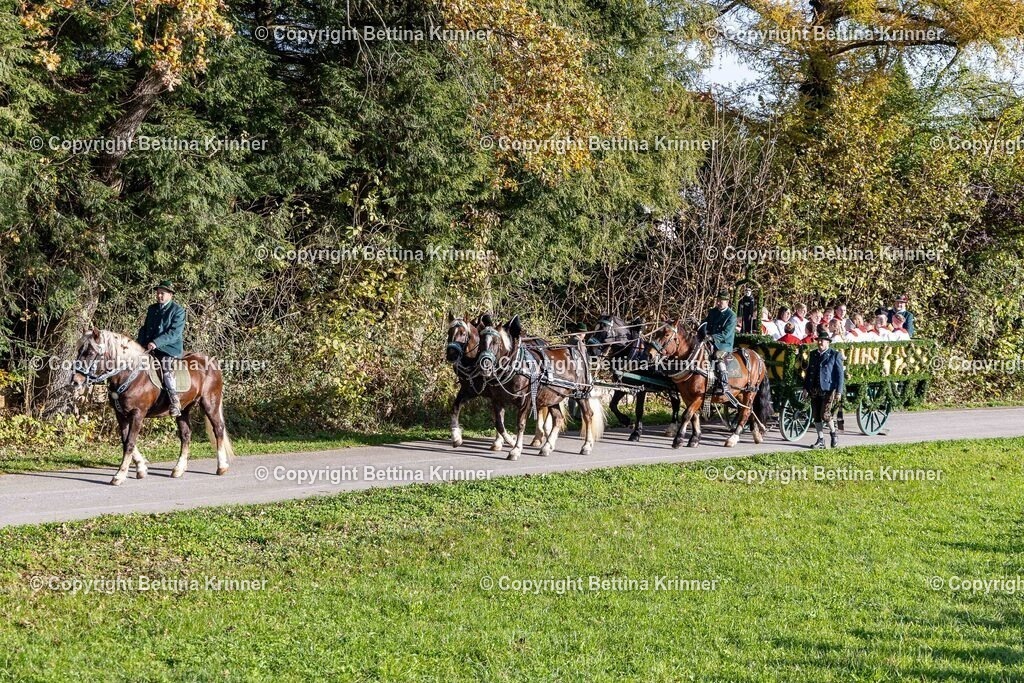 LBT24-29 | foto-bettina-krinner - Realisiert mit Pictrs.com