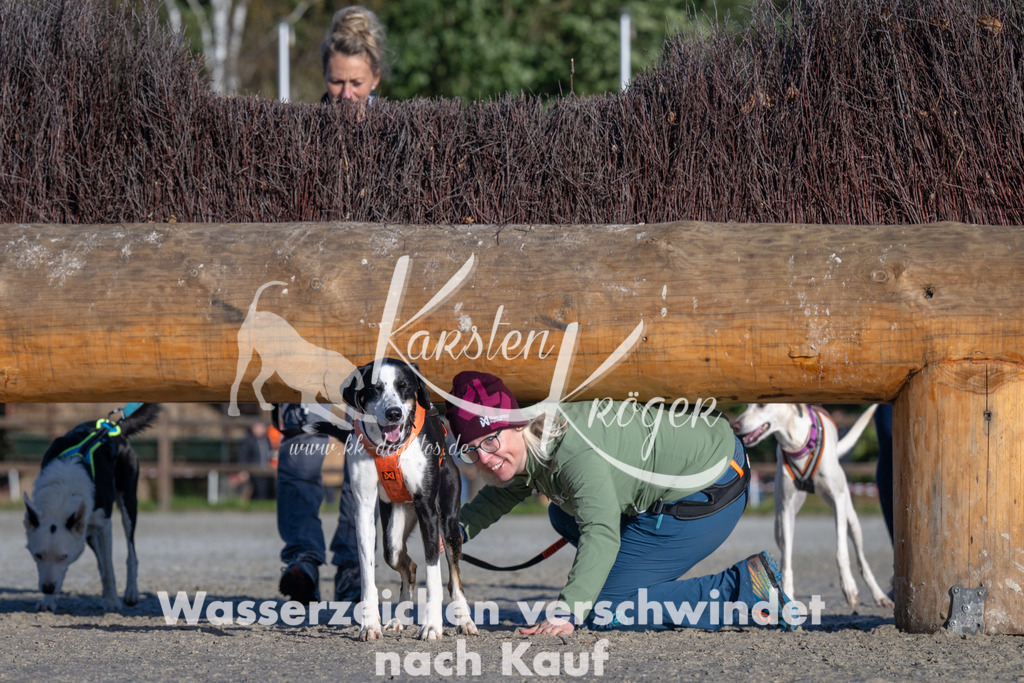 1045-_ZZ92408 | kk-dogfotos