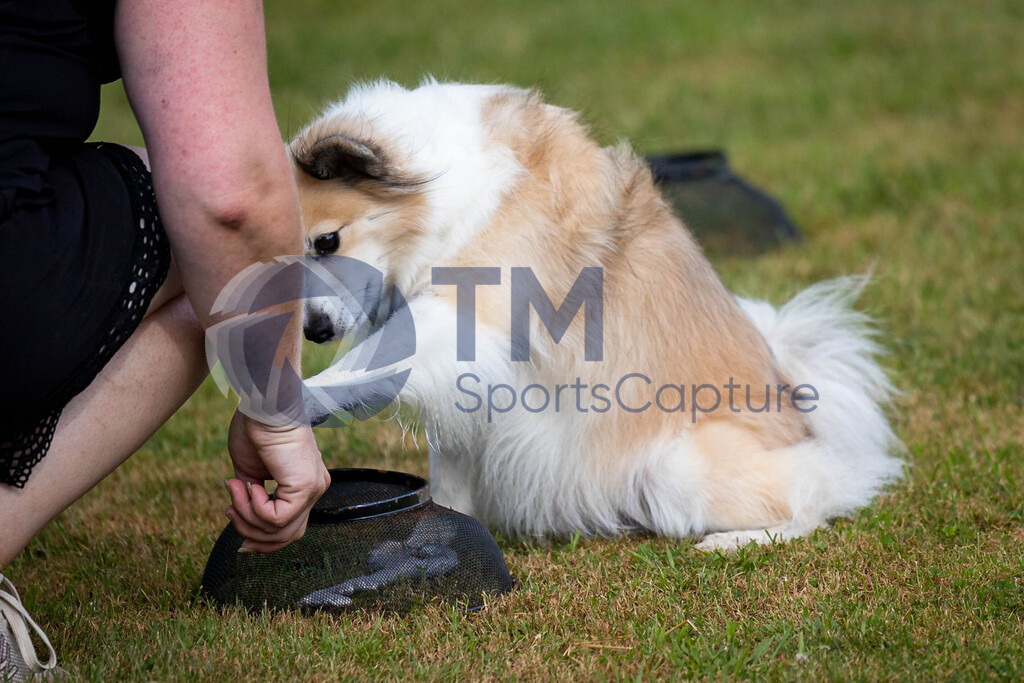 TP-20240815-0007 | Copyright: Trainproduction / Matthias Trinkl