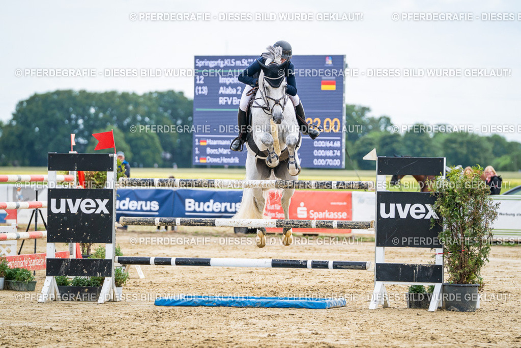 DSC06956 | Pferdegrafie