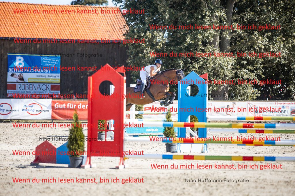 BK1A7276 | Turnierbilder Turnierfotos Nina Hüffmann Turnierfotografie Pferdefotografie Tierzeichnung Haustierzeichnung Pferdezeichnung Hundezeichnung Videograf  - Realisiert mit Pictrs.com