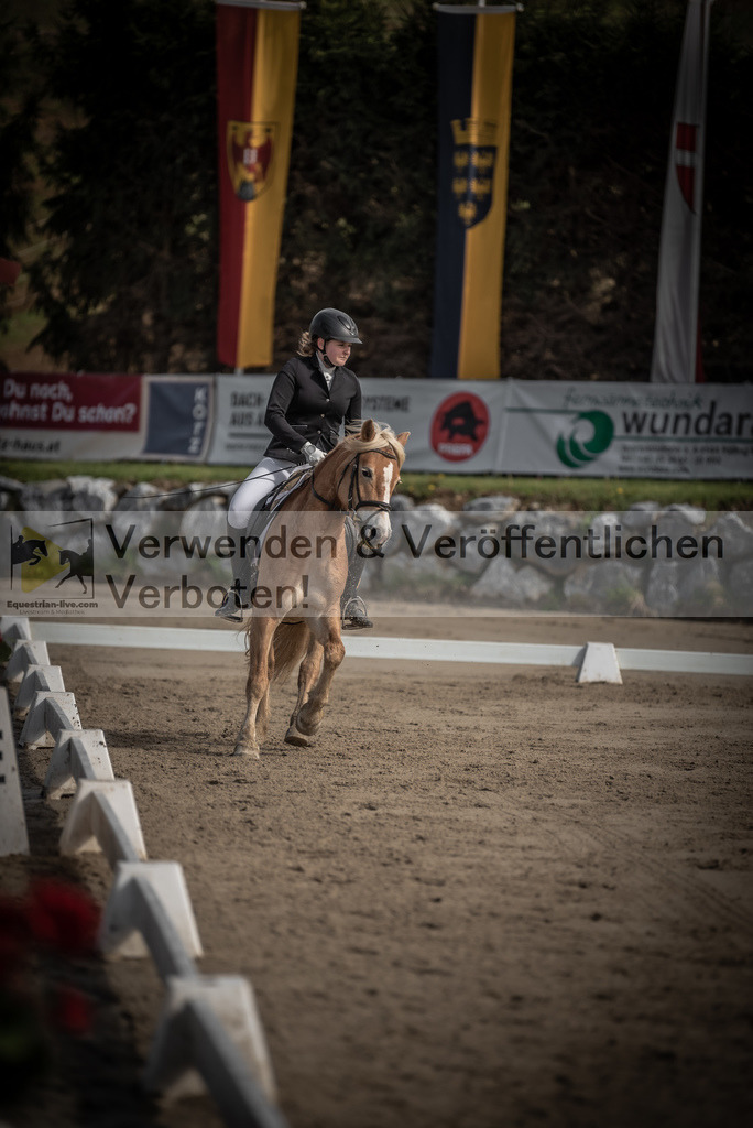 DSC_8647 | equestrian-live-com