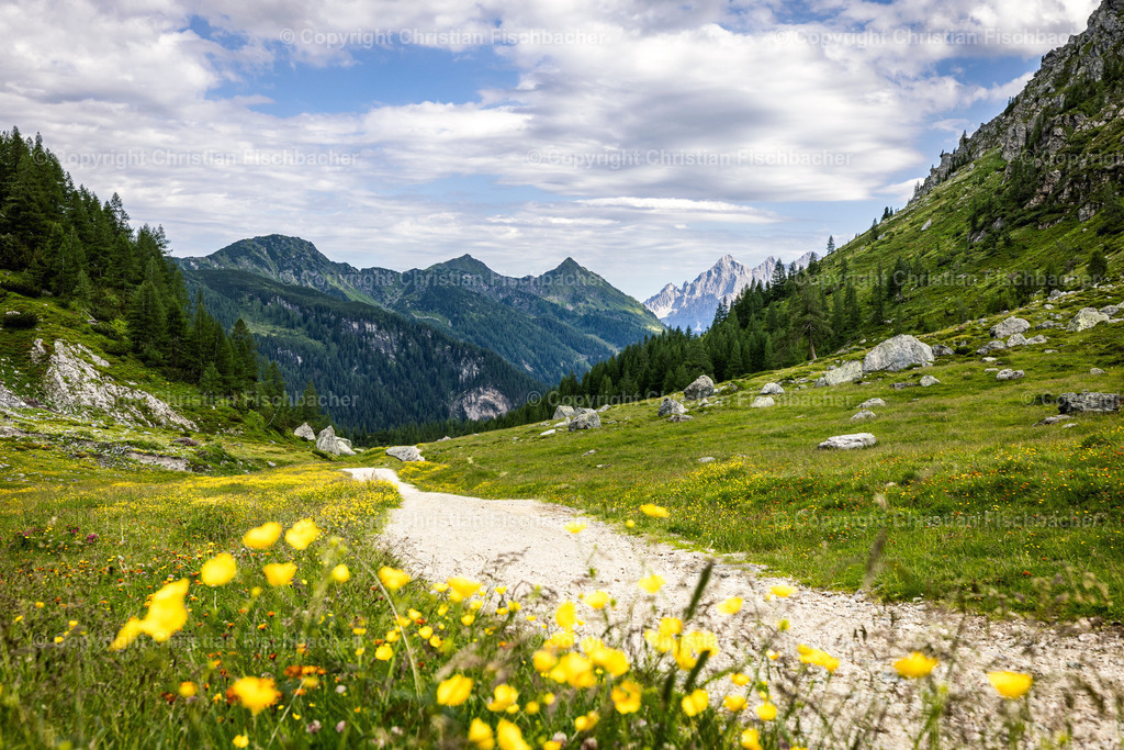 Fotos_Copyright_Chri_Fischbacher_Druck-527 | Bildershop Chri Fischbacher - Realisiert mit Pictrs.com