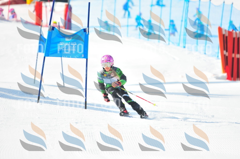 B8696 | holidayphoto