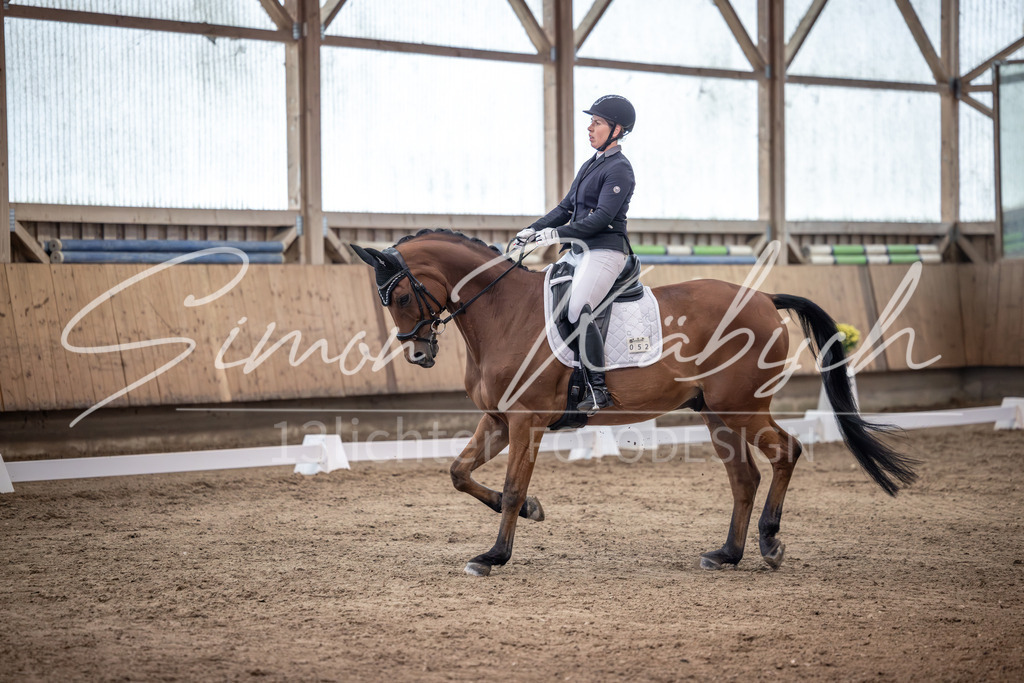 20251011-_3LI1590 | Tierfotografie Pferde, Hunde, Katzen, Haustiere.
Turnierfotografie Reitturniere, Reiten, Springreiten, Dressur in Hanau, dem Main-Kinzig-Kreis und dem Rhein-Main- Gebiet um Frankfurt