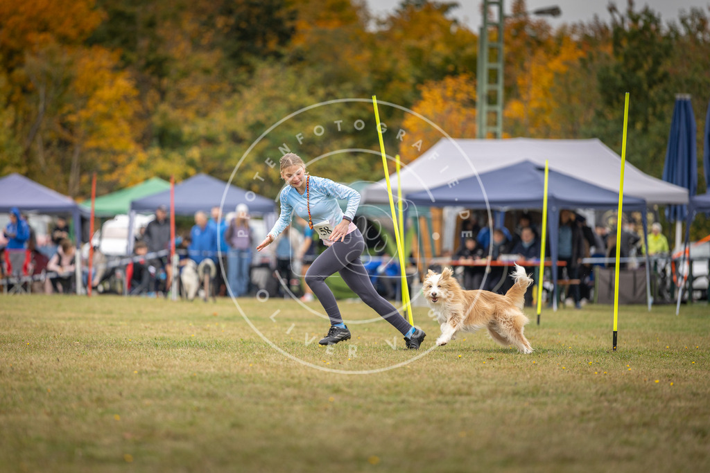 Pfotenfotografie_DV3A5126 | Hundefotografie, Tierfotograf, Pfotenfotografie, Fotoshooting Hund, Hunde Portrait, Hundesport, Hundeportraits, Heideshooting, Hunde, Sportfotograf, Hundefotograf, Turnierhundsport, THS,  - Realisiert mit Pictrs.com