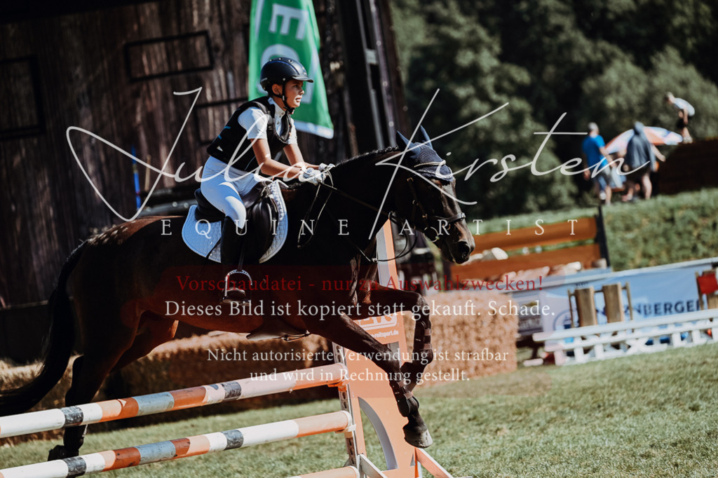 DSC_6783 | Pferde- und Turnierfotografie in Westsachsen. Pferdeportraits, Auftragszeichnungen und intuitive Kunst.