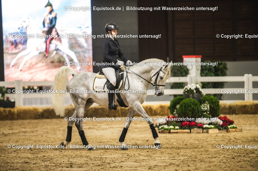 20240302_Hengstvorstellung_Marbach_TOMsPiC_1026 | equistock