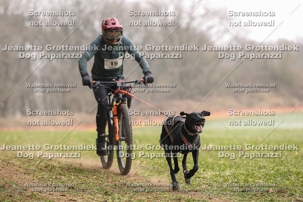 Dog Paparazzi - Plate 2026-56 | Dog Paparazzi Jeanette Grottendiek Fotografie & Videografie - Realisiert mit Pictrs.com