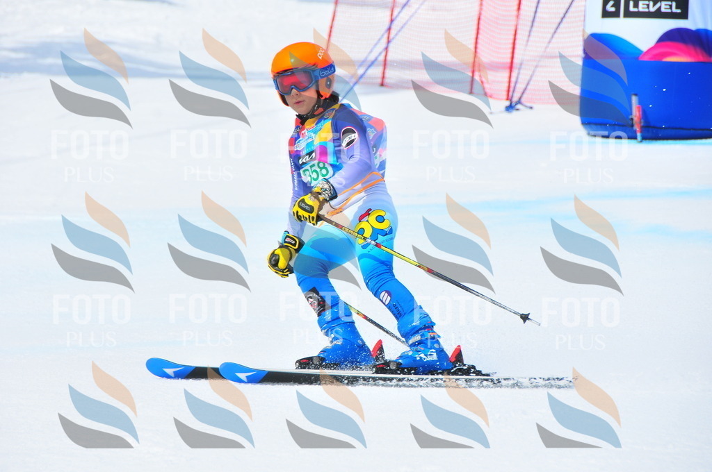 DSC_3216 | holidayphoto