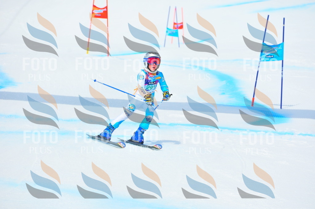 DSC_2717 | holidayphoto