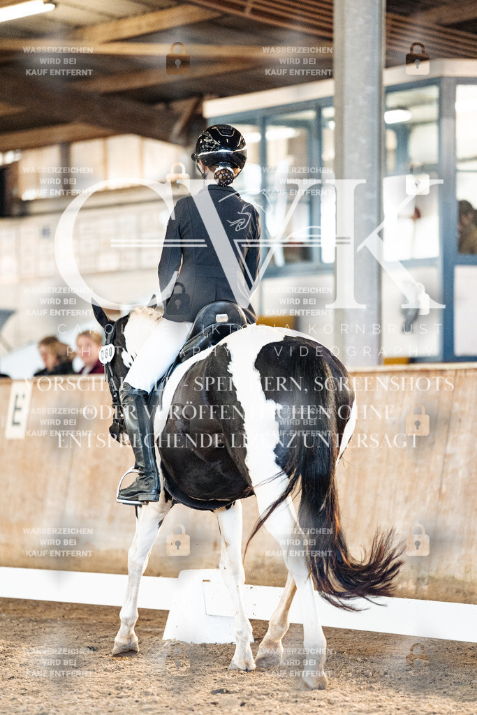 CK907675 | Turnierfotografie Pferdefotografie Trier Rheinland-Pfalz Pferdesport Reitsport Tierfotografie Sportfotografie Pferdevideo Pferdevideografie Equestrianvideography equestrianphotography  - Realisiert mit Pictrs.com