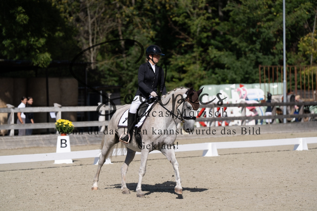 A7V07043 | Pferdefotograf