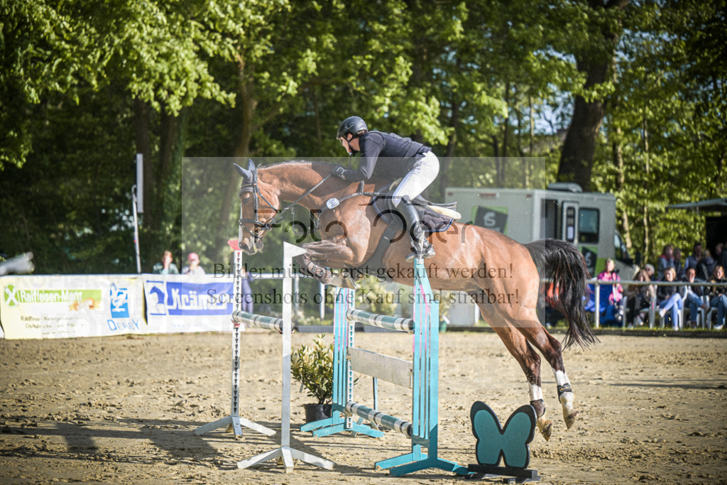 DOS_3559 | Entdecke hochwertige Reitturnierfotos von Foto Oger. Professionell, emotional und authentisch – jetzt Lieblingsmomente im Shop bestellen. - Realisiert mit Pictrs.com