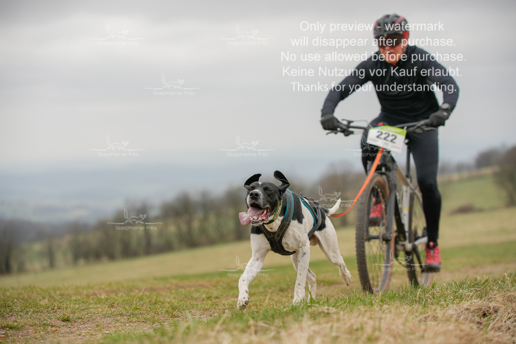 BikeSA-149 | stephaniefillaphotographie - Realisiert mit Pictrs.com