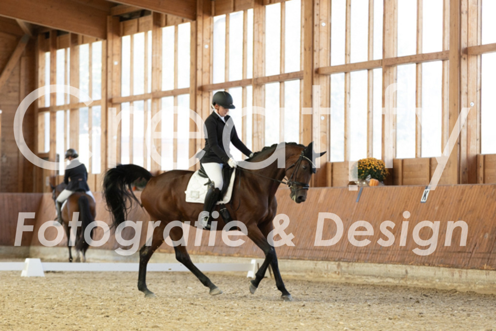 IMG_5409 | Creatify Fotografie